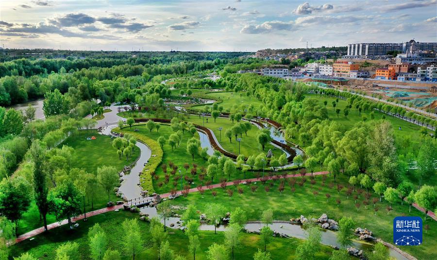 （新華全媒頭條·聚焦生物多樣性大會(huì)·圖文互動(dòng)）（4）攜手同行，開(kāi)啟人類高質(zhì)量發(fā)展新征程——習(xí)近平主席在《生物多樣性公約》第十五次締約方大會(huì)領(lǐng)導(dǎo)人峰會(huì)上的主旨講話解讀