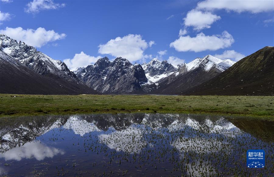 （新華全媒頭條·聚焦生物多樣性大會(huì)·圖文互動(dòng)）（7）攜手同行，開(kāi)啟人類高質(zhì)量發(fā)展新征程——習(xí)近平主席在《生物多樣性公約》第十五次締約方大會(huì)領(lǐng)導(dǎo)人峰會(huì)上的主旨講話解讀